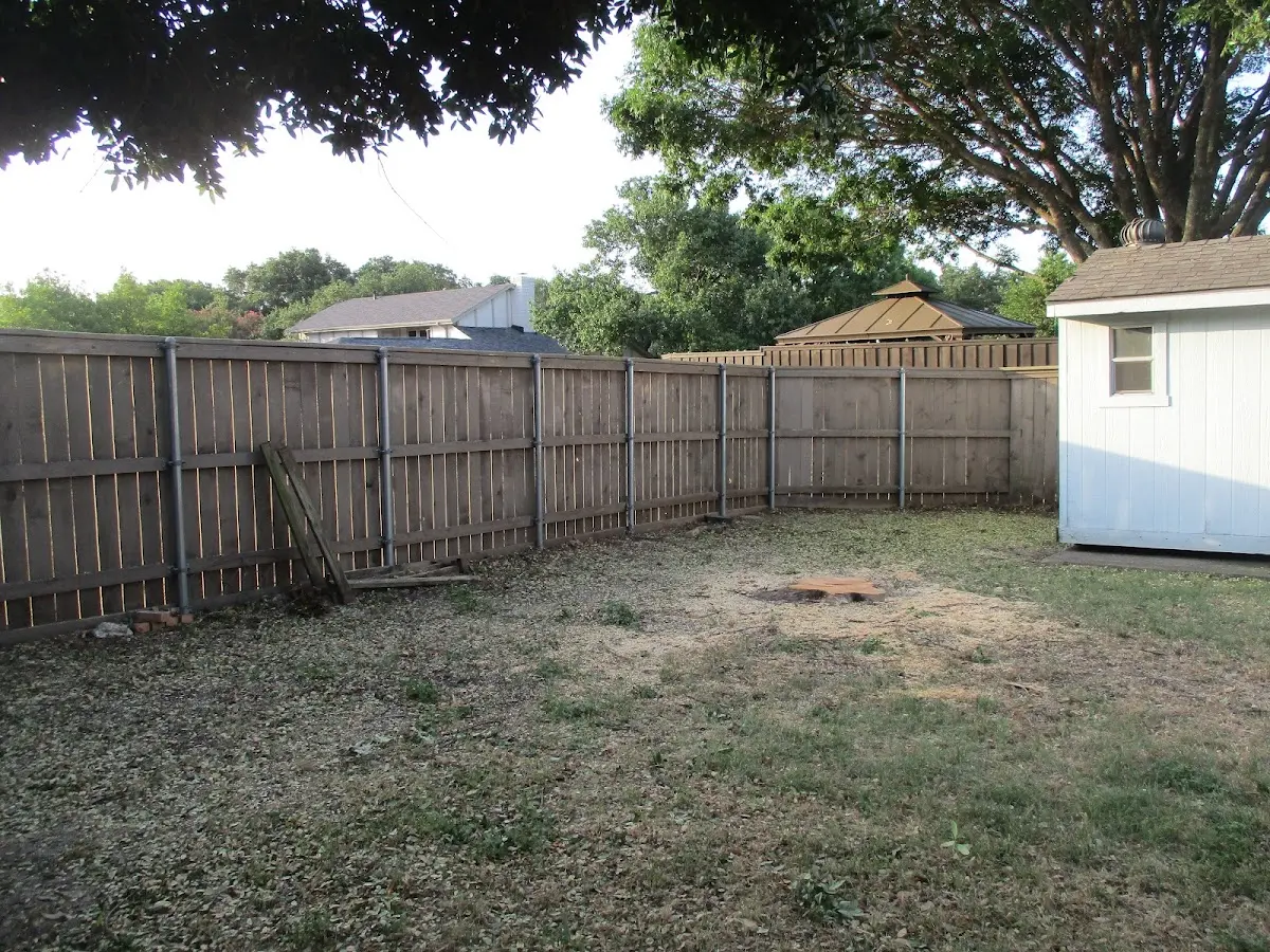 Cleared yard after professional tree removal in Ohio City